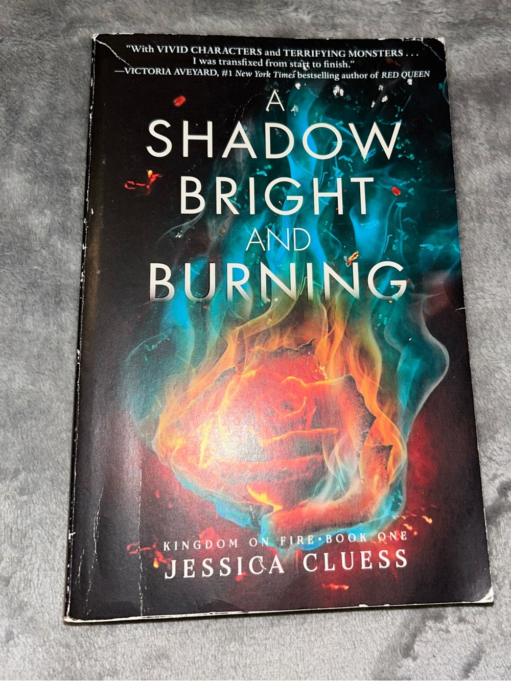 A Shadow Bright And Burning by Jessica Cluess, Paperback, 2017